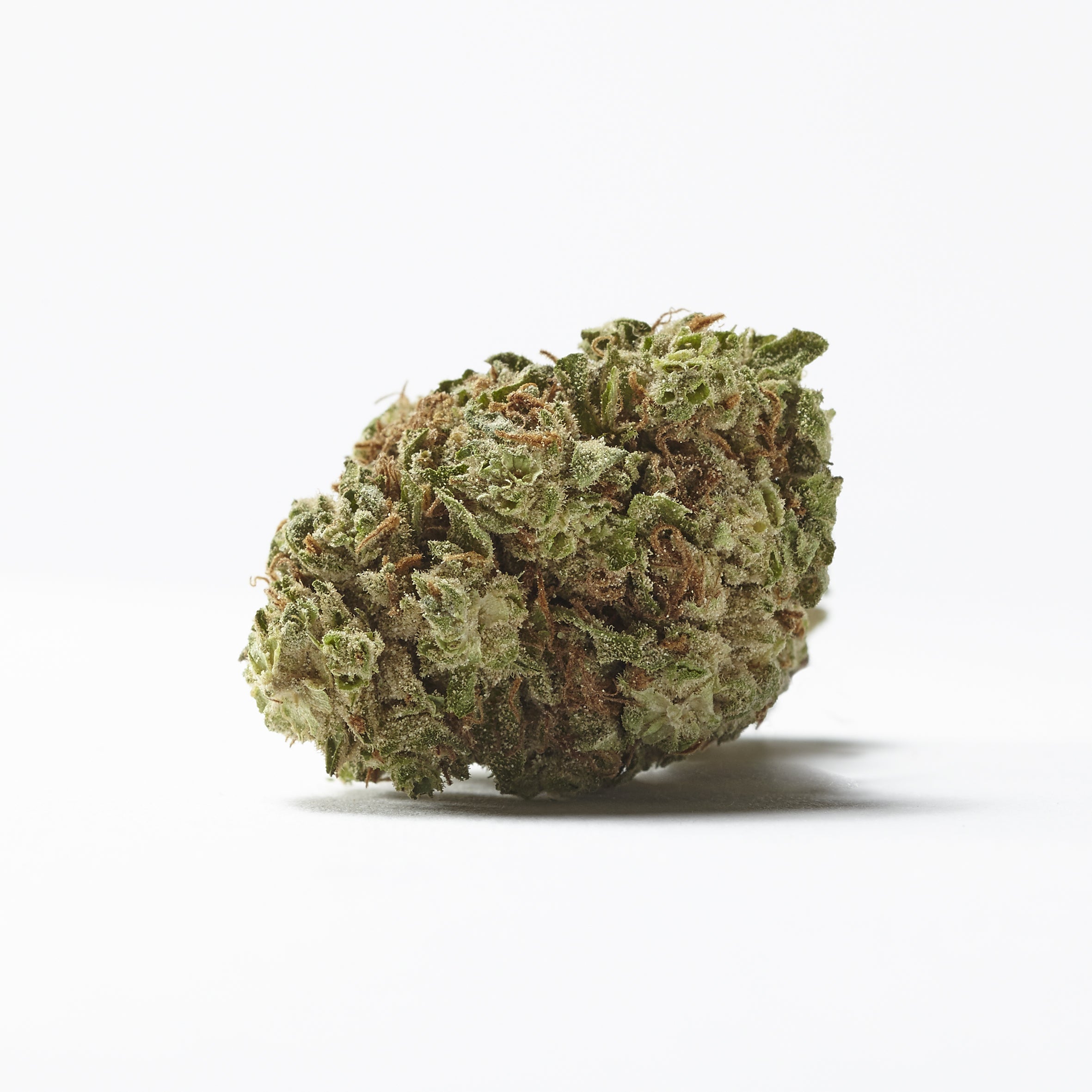 Gorilla Glue SB | Fleur CBD Premium